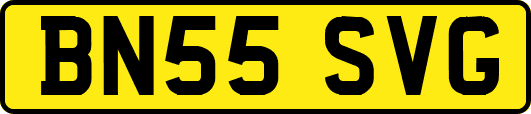 BN55SVG
