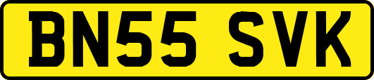 BN55SVK