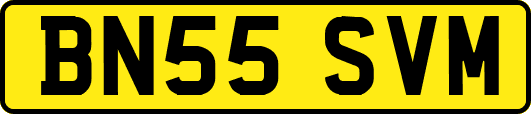 BN55SVM
