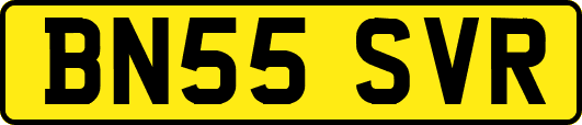 BN55SVR