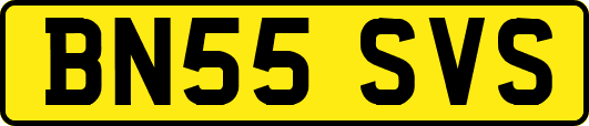 BN55SVS