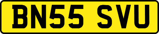 BN55SVU