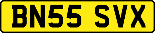 BN55SVX
