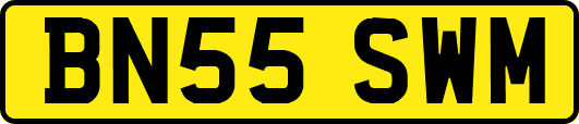 BN55SWM