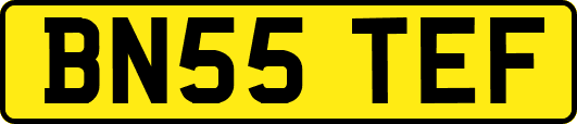 BN55TEF