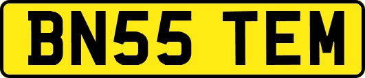 BN55TEM