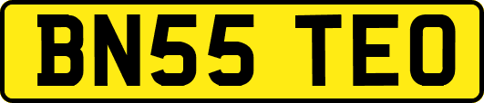 BN55TEO