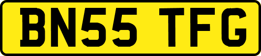 BN55TFG