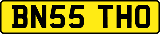 BN55THO