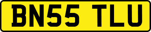 BN55TLU