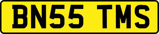 BN55TMS