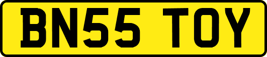 BN55TOY