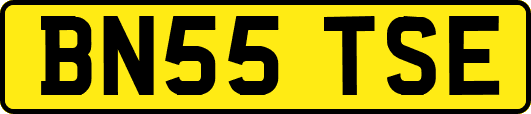 BN55TSE