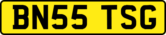 BN55TSG