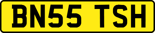 BN55TSH
