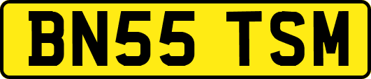 BN55TSM
