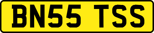BN55TSS