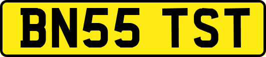 BN55TST