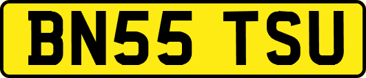 BN55TSU