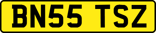 BN55TSZ