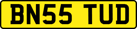 BN55TUD