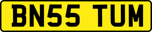 BN55TUM