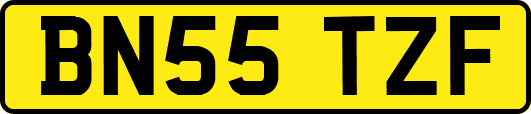 BN55TZF