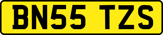 BN55TZS