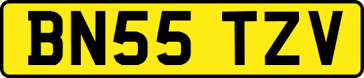BN55TZV