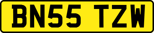BN55TZW