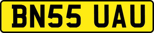 BN55UAU
