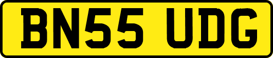 BN55UDG