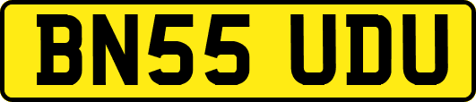 BN55UDU