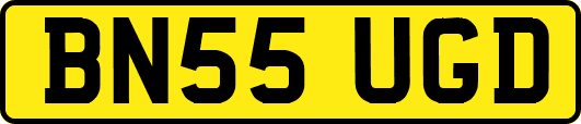 BN55UGD