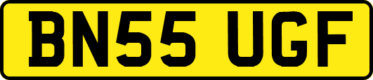 BN55UGF