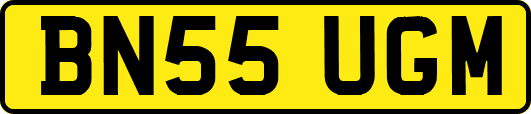 BN55UGM