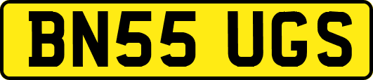 BN55UGS
