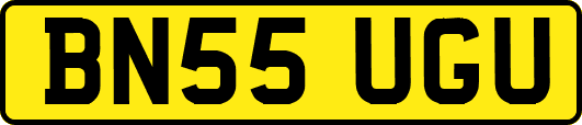 BN55UGU