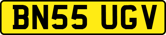 BN55UGV