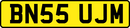 BN55UJM