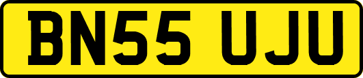 BN55UJU