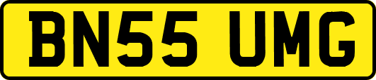 BN55UMG