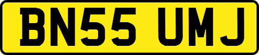 BN55UMJ