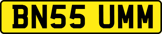 BN55UMM