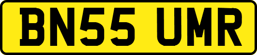 BN55UMR
