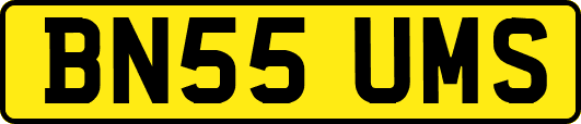 BN55UMS