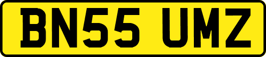 BN55UMZ