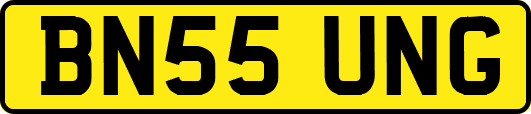 BN55UNG