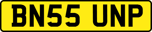 BN55UNP