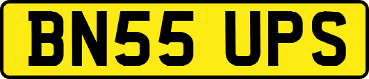 BN55UPS